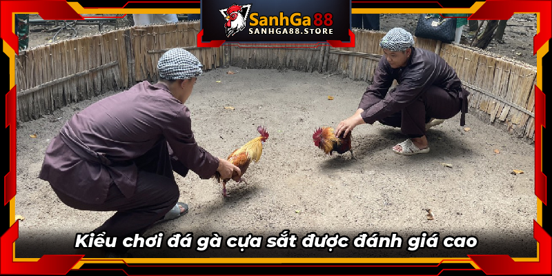 Kiểu chơi đá gà cựa sắt được đánh giá cao 