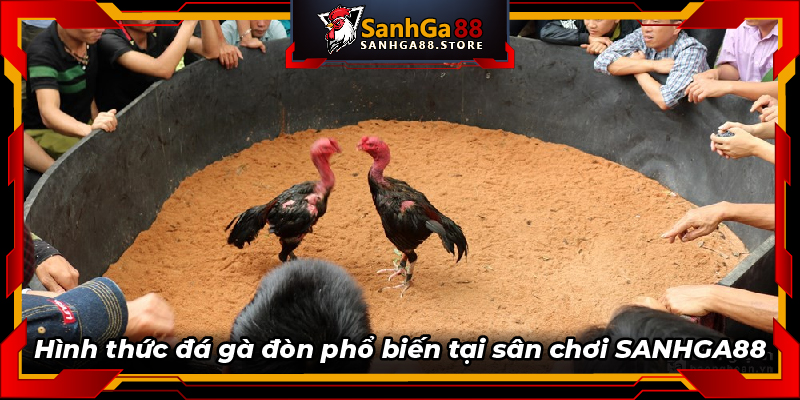 Hình thức đá gà đòn phổ biến tại sân chơi SANHGA88