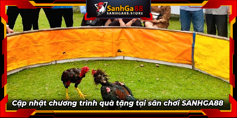 Cập nhật chương trình quà tặng tại sân chơi SANHGA88 